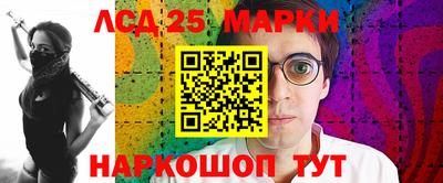гидропоника Заволжье