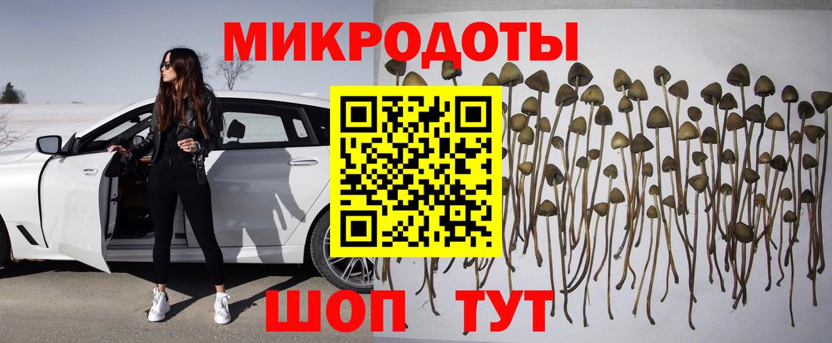 Галлюциногенные грибы прущие грибы Каменка