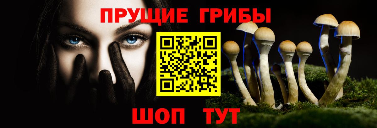 Каменка  Псилоцибиновые грибы Cubensis  Вход с VPN 